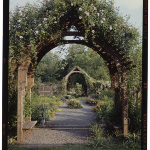 Montrose Gardens pathway with trellises