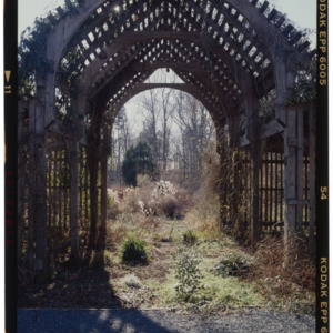 Montrose Gardens arched trellis