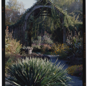 Montrose Gardens with arched trellis