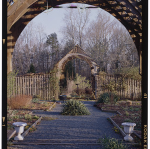 Montrose Gardens pathway