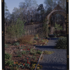 Montrose Gardens pathway