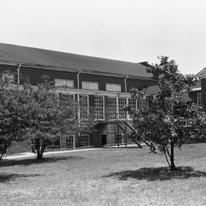 Back View, Sedge Garden School