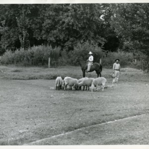 Photo of Goats and Farmers in Nash County, Sept. 5, 1944