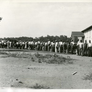 Photo of Community Cattle Show