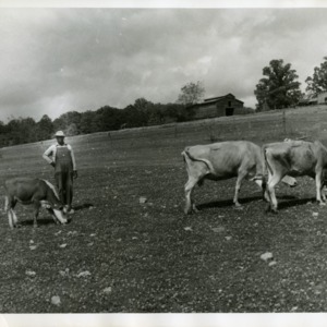Photo of Glenn Funderburk with Three Cows