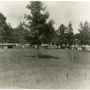 Photo of A Tree in a Field at National Convention of 1940