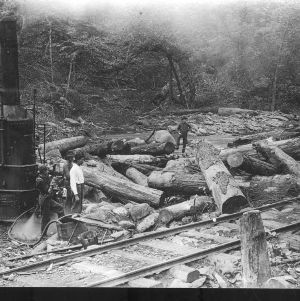 Logs and Railroad Tracks