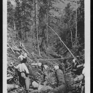 Group of Men and Cut Logs