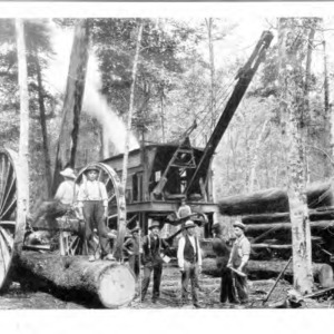 Logging at Cadillac Michigan [#1]