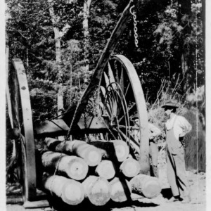 High Wheeler Dumping Birch, 1911