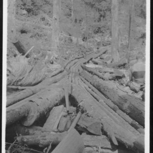 Log Chute, Sunburst, N.C., 1911