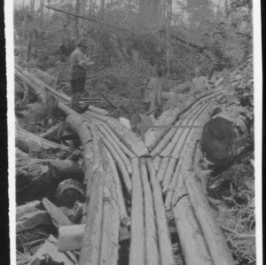 Log Chute, Sunburst, N.C., 1911