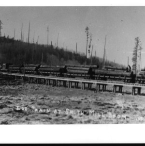 Log Train at Smith Mill Boom