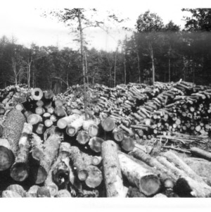 Piles of Logs