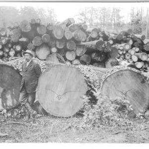 Elm Logs, 1911