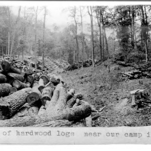 Hardwood Rollway [#2], 1911