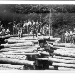 Men on Pile of Logs, 1911