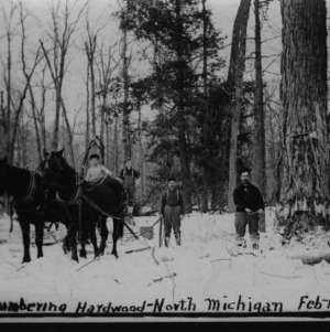 Lumbering Hardwood, Feb. 1910