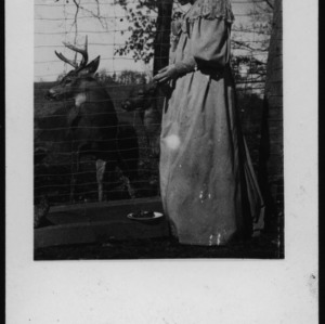 Mrs. Schenck and the Deer Park