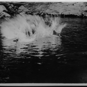 Freshman Going in the Creek, 1911