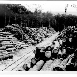 Hardwood Rollway [#1], 1911