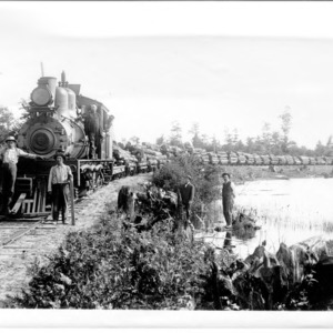 Train Loaded With Logs