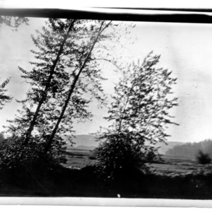 View From the Car