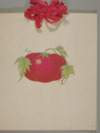 Girls club, tomato club booklet by Hattie S. Harrell
