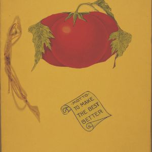 Girls club, tomato club booklet by Lulu Belle Cole