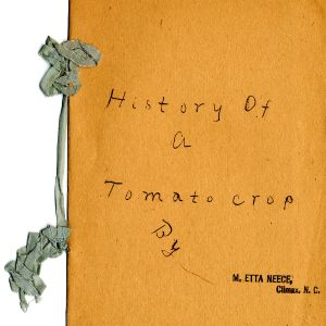 History of a tomato crop