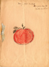 Girls club, tomato club booklet by Mary Bell Newkirk