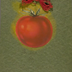 Booklet by Viva Harvey, tomato club