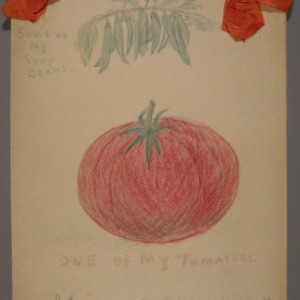 Girls club, tomato club booklet by Minnie Selma Wilson