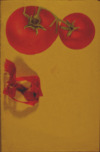 Girls club, tomato club booklet