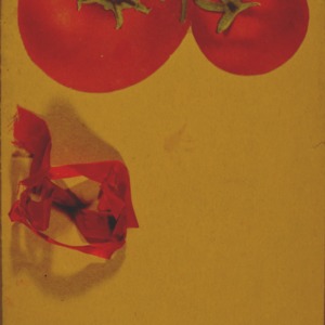 Girls club, tomato club booklet