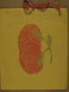 Girls club, tomato club booklet by Swannie May Craton