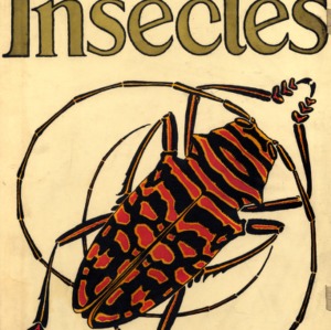 Insectes : vingt planches en phototypie colorie´es au patron donnant quatre-vingts insectes et seize compositions de´coratives