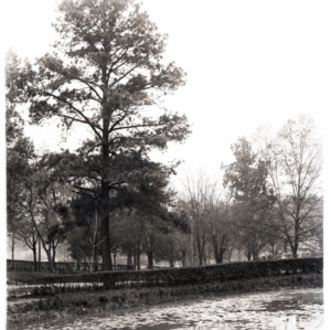 View of Pond in Pullen Park, Campus, circa 1920s