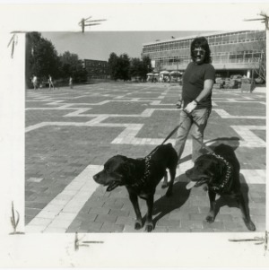 Physical Plant's Ken Benson taking his two rotweilers on a walk
