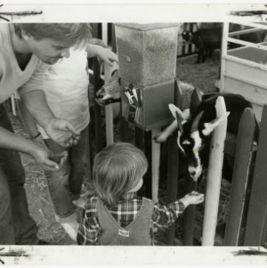 Little boy feeds goat at the fair's petting zoo