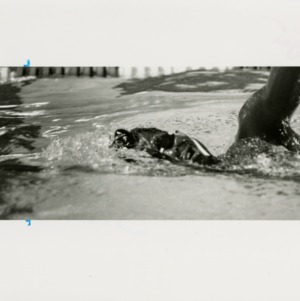 Swimmer doing laps
