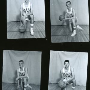 Basketball players' portraits