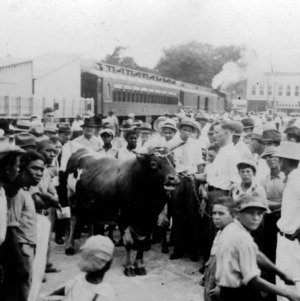 Crowd views Livestock Train on the Atlantic Coast Line Railroad