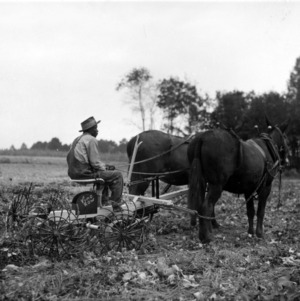 Horse-drawn Vine-Row harvester in field