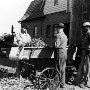 Men with harvested crops