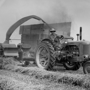 Agricultural machinery harvesting dry alfalfa