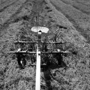 Harvesting machinery in alfalfa field