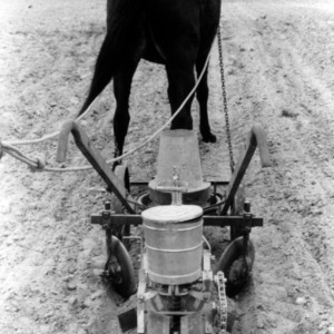 Horse-drawn seed planter-fertilizer distributor machinery in field