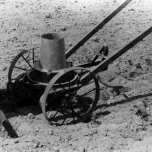 Horse-drawn seed planter in field