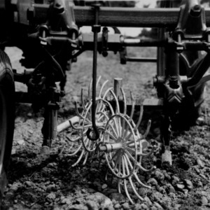 Vine Row harvesting machinery